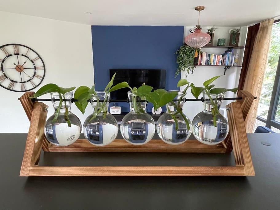 The Urban Green! Cosy Luxury In Chiswick